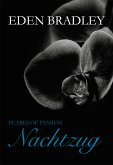 Nachtzug / Pearls of Passion Bd.2 (eBook, ePUB)