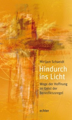 Hindurch ins Licht (eBook, ePUB) - Schaeidt, Mirijam