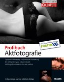 Profibuch Aktfotografie (eBook, PDF)
