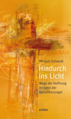 Hindurch ins Licht (eBook, PDF) - Schaeidt, Mirijam