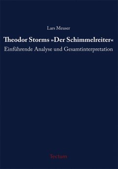 Cover Theodor Storms 