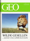 Wilde Gesellen: 13 Expeditionen in die Welt der Tiere (GEO eBook) (eBook, ePUB)