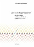 Lernen in Jugendszenen (eBook, PDF)