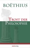 Trost der Philosophie (eBook, ePUB)