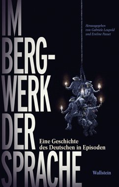 Im Bergwerk der Sprache (eBook, PDF)