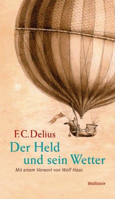 Der Held und sein Wetter (eBook, PDF) - Delius, Friedrich Christian