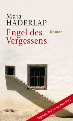 Engel des Vergessens (eBook, ePUB) - Haderlap, Maja