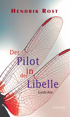 Der Pilot in der Libelle (eBook, PDF) - Rost, Hendrik