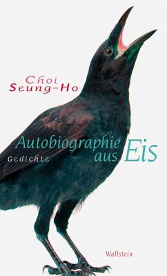 Autobiographie aus Eis (eBook, ePUB) - Seung-Ho, Choi