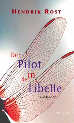 Der Pilot in der Libelle (eBook, ePUB) - Rost, Hendrik