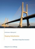 Shaping Globalization (eBook, ePUB)
