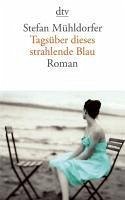 Tagsüber dieses strahlende Blau (eBook, ePUB) - Mühldorfer, Stefan