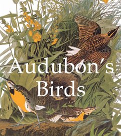 Audubon's Birds (eBook, PDF) - Audubon, John James