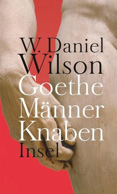 Goethe Männer Knaben (eBook, ePUB) - Wilson, W. Daniel
