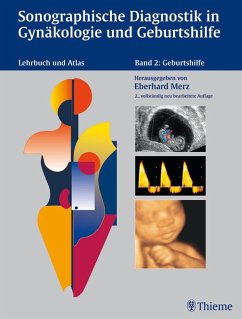 Band 2: Geburtshilfe (eBook, PDF) - Merz, Eberhard