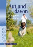 Auf und davon (eBook, ePUB)