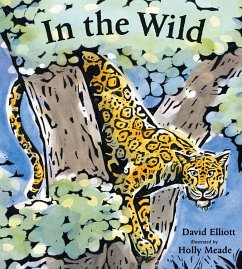 In the Wild - Elliott, David