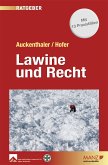 Lawine und Recht (eBook, ePUB)
