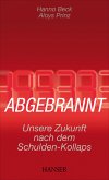 Abgebrannt (eBook, ePUB)