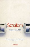 Schalom (eBook, ePUB)