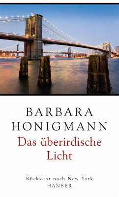 Das überirdische Licht (eBook, ePUB) - Honigmann, Barbara