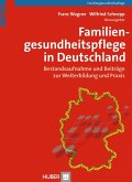Familiengesundheitspflege in Deutschland (eBook, PDF)