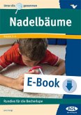 Nadelbäume (eBook, PDF)