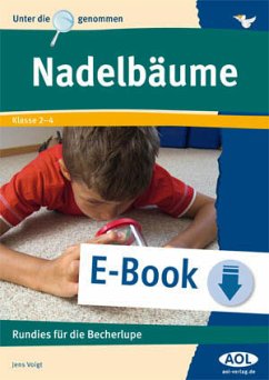 Nadelbäume (eBook, PDF) - Voigt, Jens