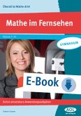 Mathe im Fernsehen (eBook, PDF)