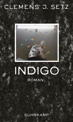 Indigo (eBook, ePUB) - Setz, Clemens J.