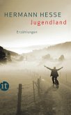 Jugendland (eBook, ePUB)