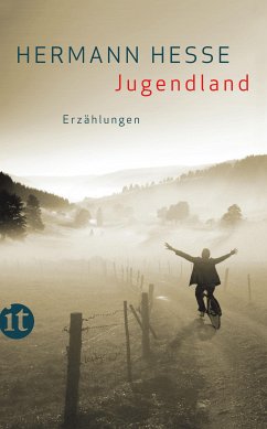 Jugendland (eBook, ePUB) - Hesse, Hermann