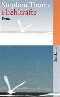 Fliehkräfte (eBook, ePUB) - Thome, Stephan