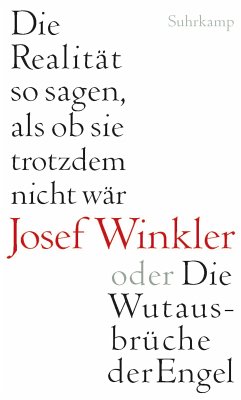 Die Realität so sagen, als ob sie trotzdem nicht wär oder Die Wutausbrüche der Engel (eBook, ePUB) - Winkler, Josef