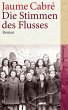 Die Stimmen des Flusses (eBook, ePUB) - Bild 1