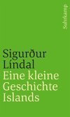 Eine kleine Geschichte Islands (eBook, ePUB)