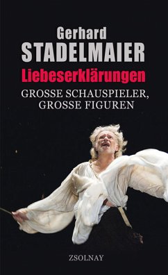 Liebeserklärungen (eBook, ePUB) - Stadelmaier, Gerhard