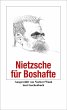 Nietzsche für Boshafte (eBook, ePUB) - Bild 1