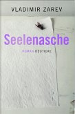 Seelenasche (eBook, ePUB)
