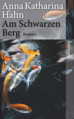 Am Schwarzen Berg (eBook, ePUB) - Hahn, Anna Katharina
