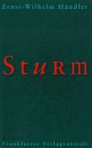 Sturm (eBook, ePUB)