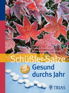 Gesund durchs Jahr mit Schüßler-Salzen (eBook, ePUB) - Feichtinger, Thomas; Niedan-Feichtinger, Susana