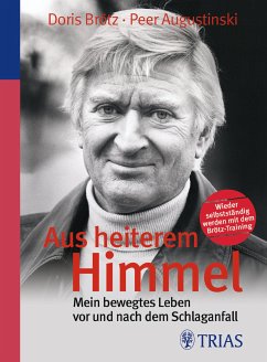Aus heiterem Himmel (eBook, PDF) - Augustinski, Peer; Brötz, Doris; Gass, Matthias