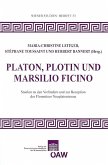 Platon, Plotin und Marsilio Ficiono (eBook, PDF)