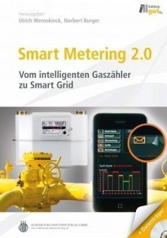 Smart Metering (eBook, PDF)
