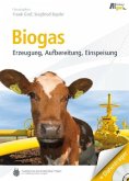Biogas (eBook, PDF)