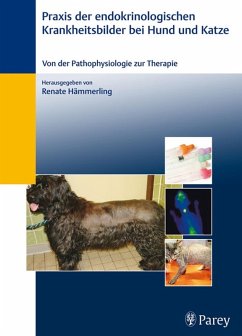 Praxis der endokrinologischen Krankheitsbilder bei Hund und Katze (eBook, PDF)