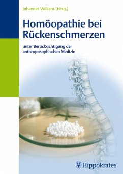 Homöopathie bei Rückenschmerzen (eBook, PDF) - Wilkens, Johannes