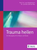 Trauma heilen (eBook, ePUB)