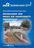 Grundlagen und Praxis der Gasrohrnetzüberprüfung (eBook, PDF)
